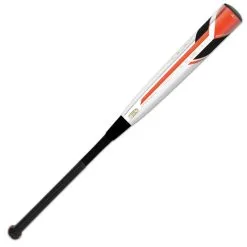Clearance – 2021 AXE Avenge PRO USSSA NTS (-10) 2 3/4″ Baseball Bat: L148J -Baseball Bats Sales Store L148J PI AMAZON.003 800x